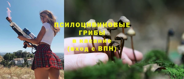 крисы Армянск