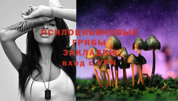 первитин Арсеньев