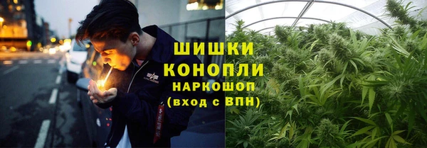 крисы Армянск
