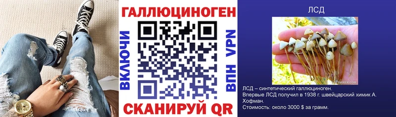 Галлюциногенные грибы Psilocybine cubensis Сураж